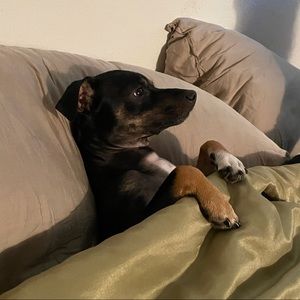 Meet your Posher, Sarah